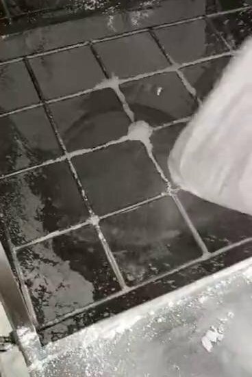 gAIKmd4IkGKNCk1L0HMPACOIAF